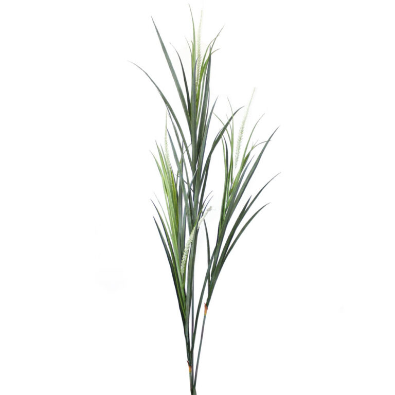 Grass w White Foxtails Pick, Green, 54in