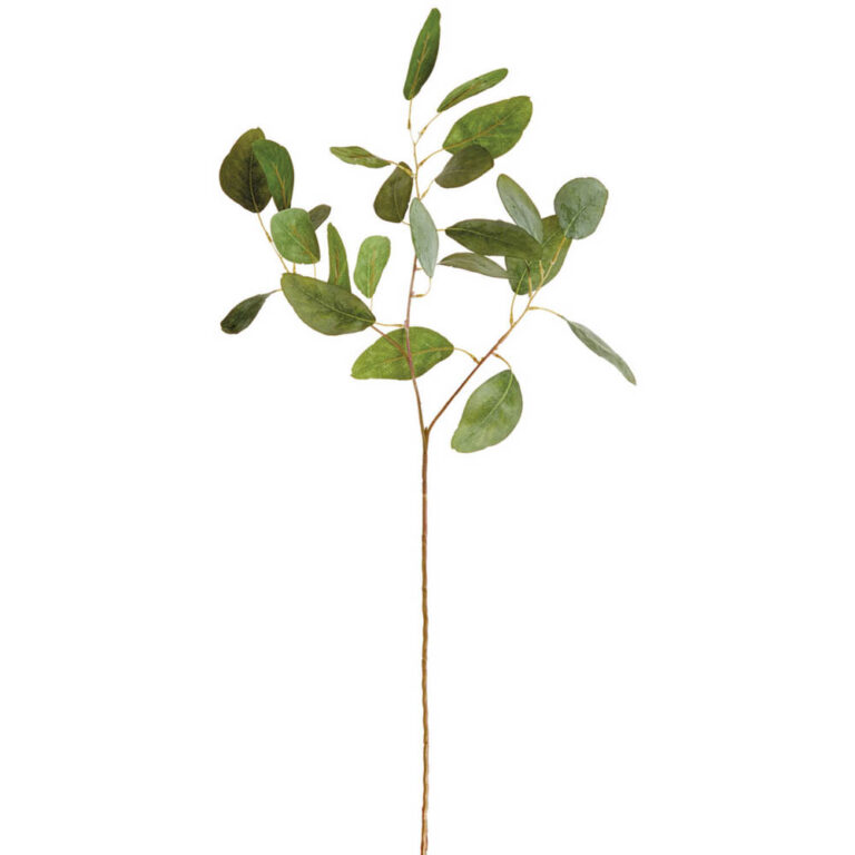 Eucalyptus Leaf Spray, 24in