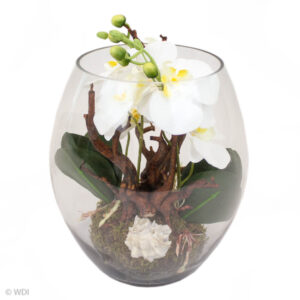 Enchanted Orchid Arrangement in Glass Bowl, 11in
