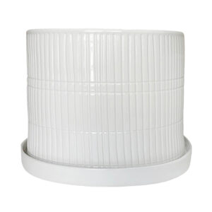 Textured Planter w/ Saucer, 10in