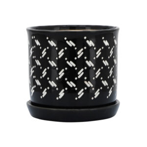 Dots Planters w/ Saucer, 6in