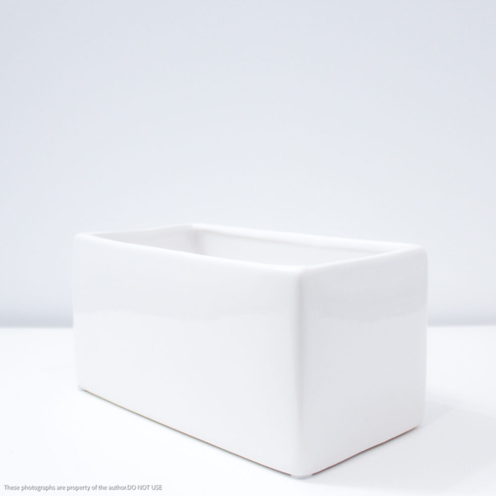 Rectangle Planter, White Gloss, 8in