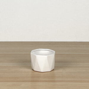 Alex Planter, Small