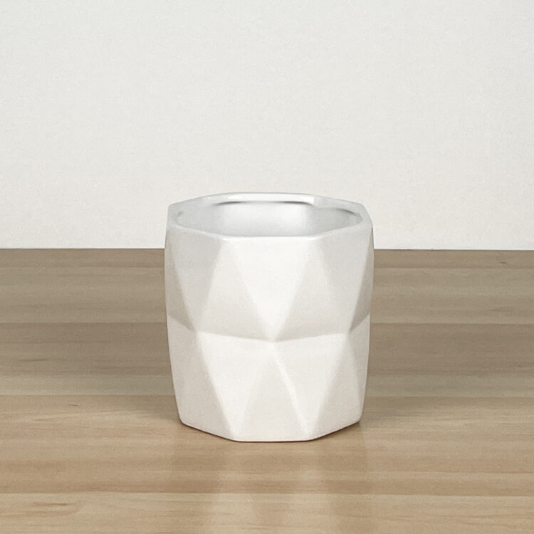 Alex Planter, Medium