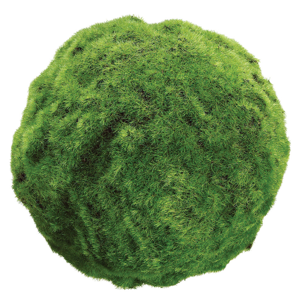 Moss Ball, 7in