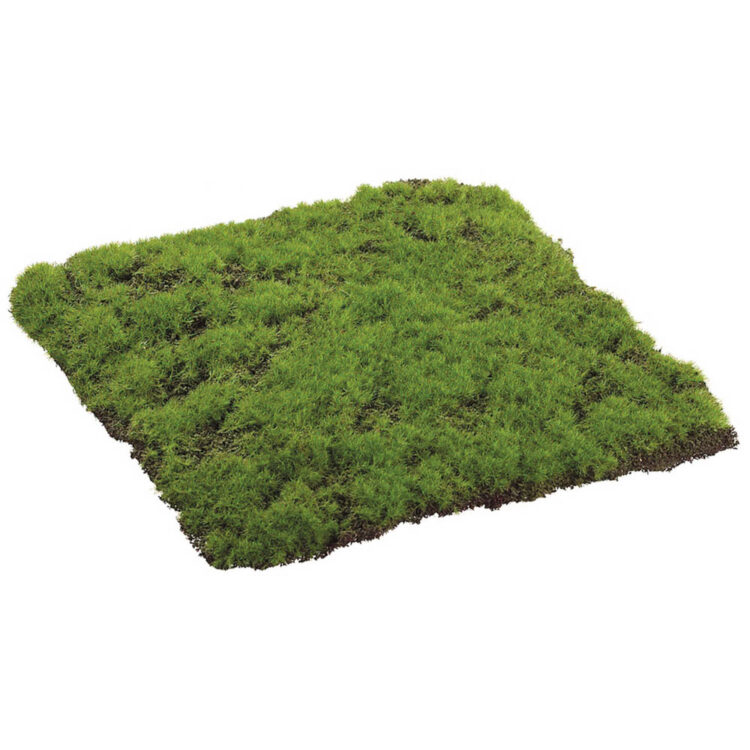 Moss Sheet