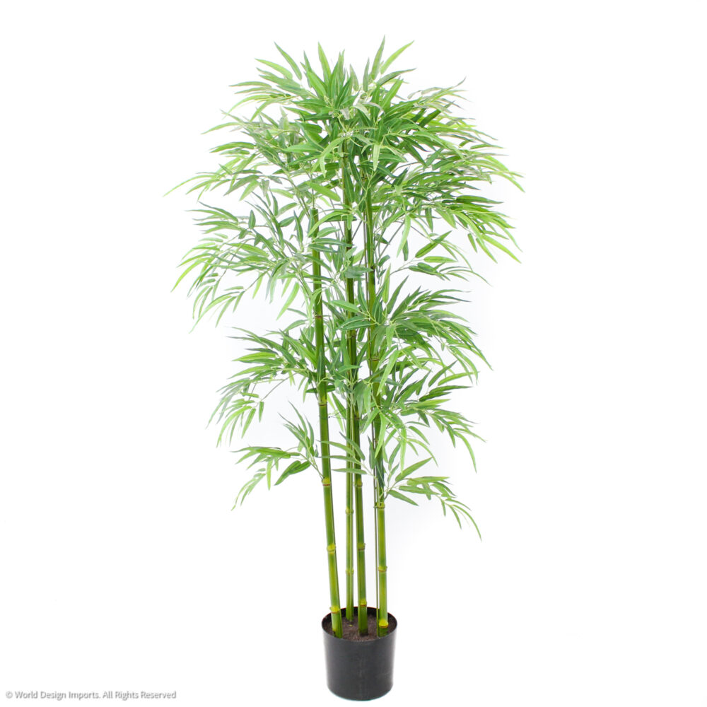 Unpotted Bamboo Tree, 5ft