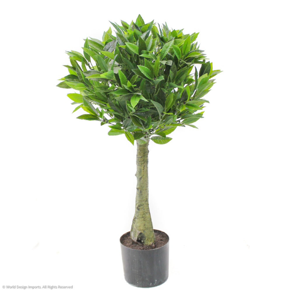 Unpotted Bay Leaf Topiary, 36in (UV)