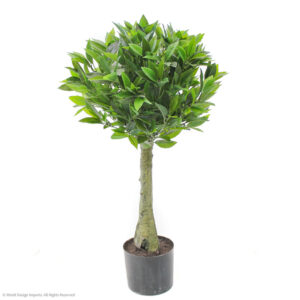 Bay Leaf Topiary, 36in (UV)