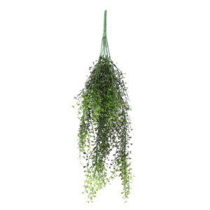 Heart Boxwood Hanging Vine, Green, 26in