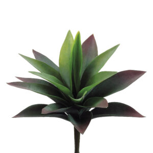 Agave Plant, Green/Red, 11in