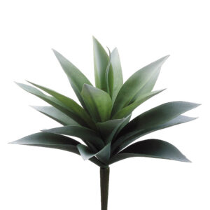 Agave Plant, Green Frosted, 11in