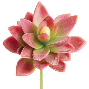 Agave Pick, Green/Red, 5in