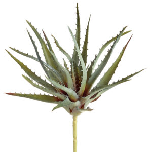 Aloe Pick, Green/Grey, 10in
