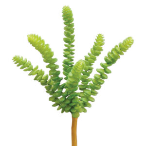 Donkey Tail Pick, Green, 9in