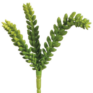 Sedum Bush Hanging, 9.5in