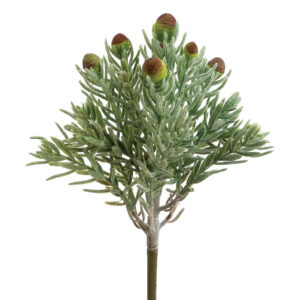 Succulent Pick, 7in