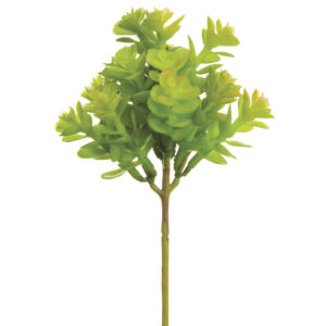 Sedum Pick, Green/Two-Tone, 7.5in