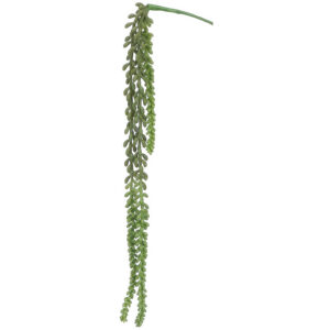 Nertera Berry Hanging Pick, 26in