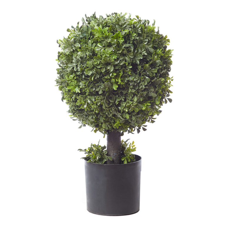 Boxwood Ball Topiary Shrub, 23in (UV)