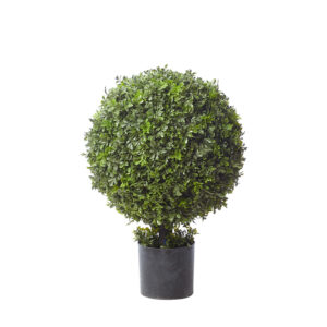Boxwood Ball Topiary Shrub, 27in (UV)
