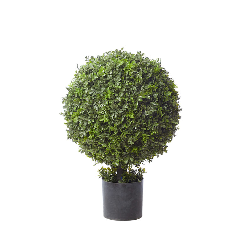 Boxwood Ball Topiary Shrub, 27in (UV)