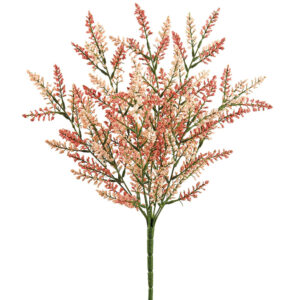 Astilbe Bush, Coral Two-Tone, 20in