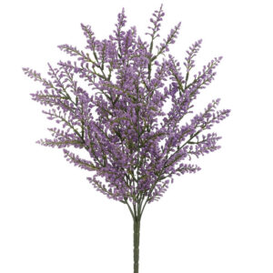 Astilbe Bush, Purple, 20in