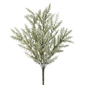 Astilbe Bush, White, 20in