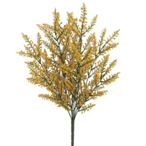Astilbe Bush, Yellow, 20in