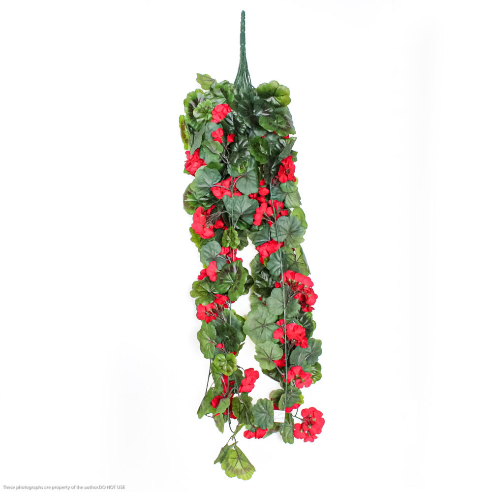 Geranium Hanging Vine Extra Long, Red (UV)