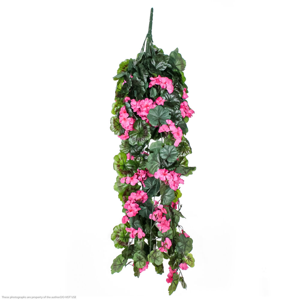 Geranium Hanging Vine  XL (UV)