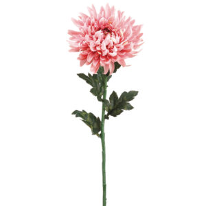 Chrysanthemum Spray, Pink, 24in