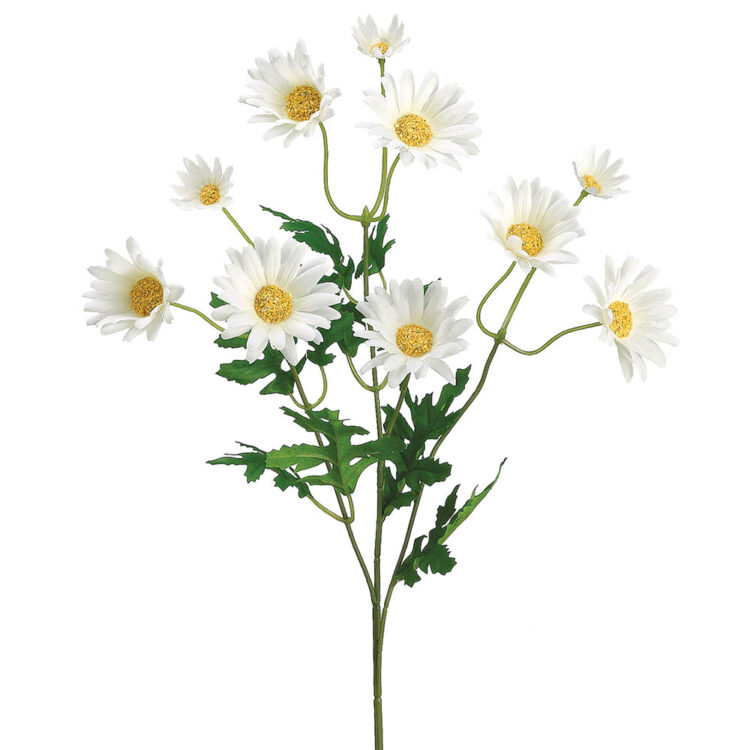 Daisy Spray, White, 24in