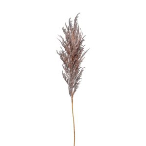 Pampas Spray, Brown, 43in