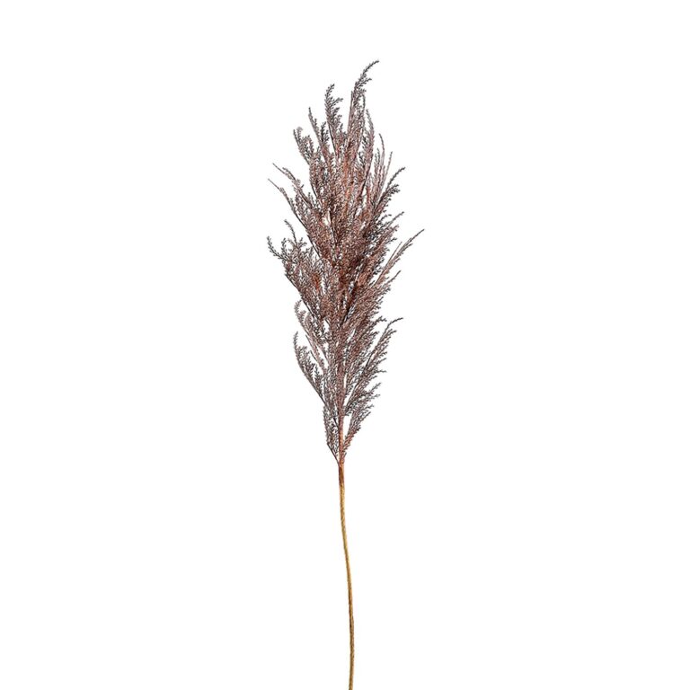 Pampas Spray, Brown, 43in