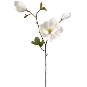 Magnolia Spray, 31in