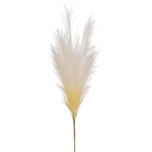 Plume Spray, 28in