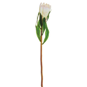 Protea Spray, 24.5in