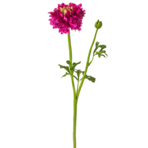 Ranunculus Spray, 19.25in
