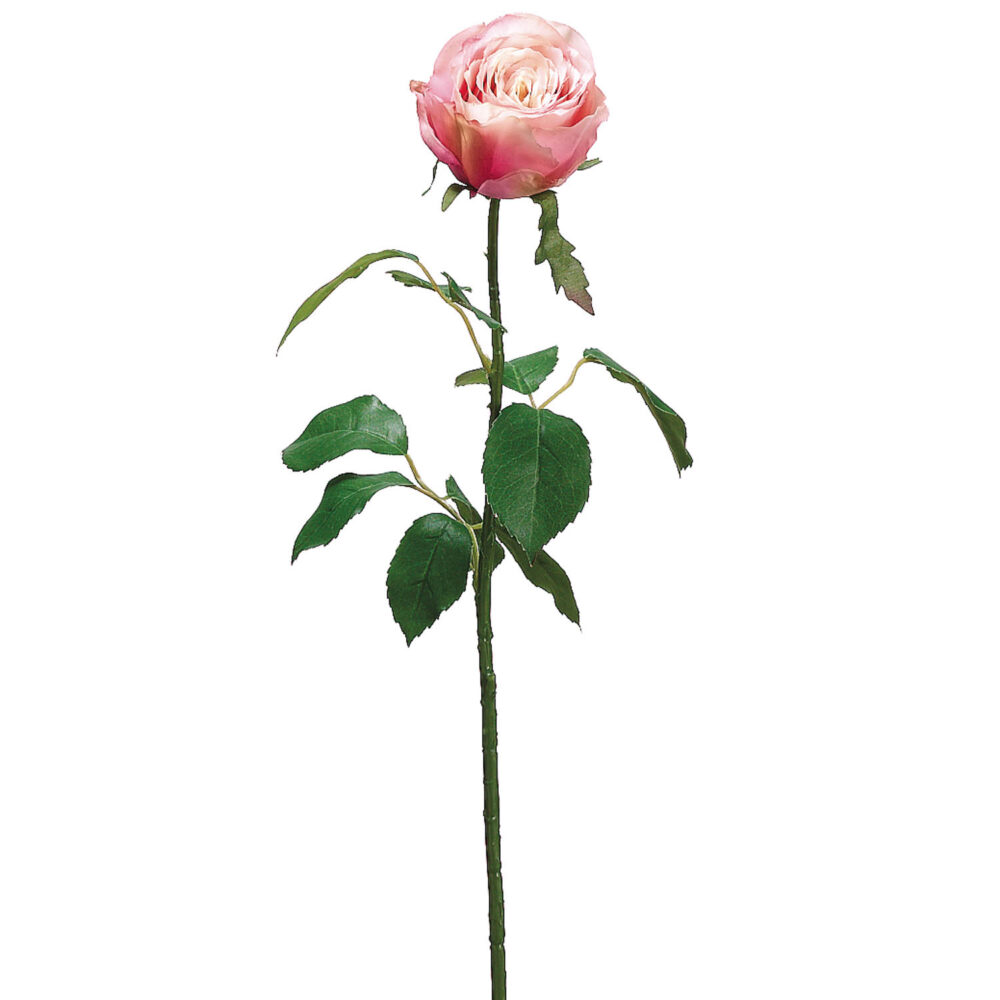 Cottage Rose Bud Spray, 27.5in