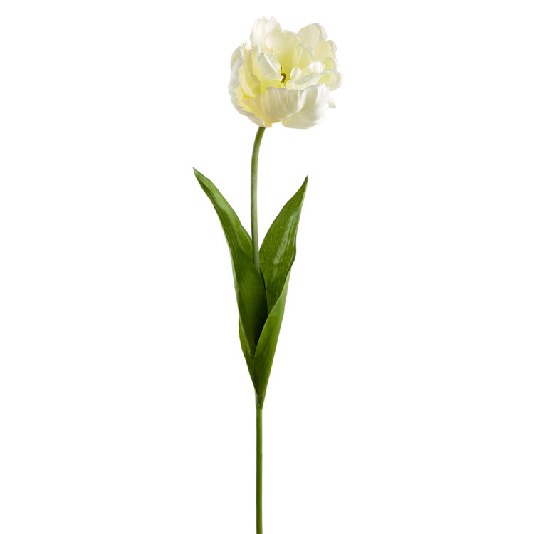 Parrot Tulip Spray, 26in