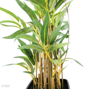 Mini Bamboo, 25in