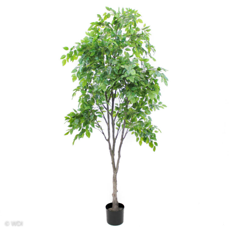 Artificial Ficus Tree 6ft