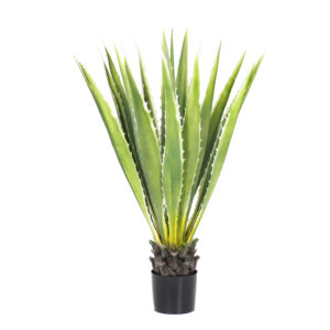 Agave Plant, 36in