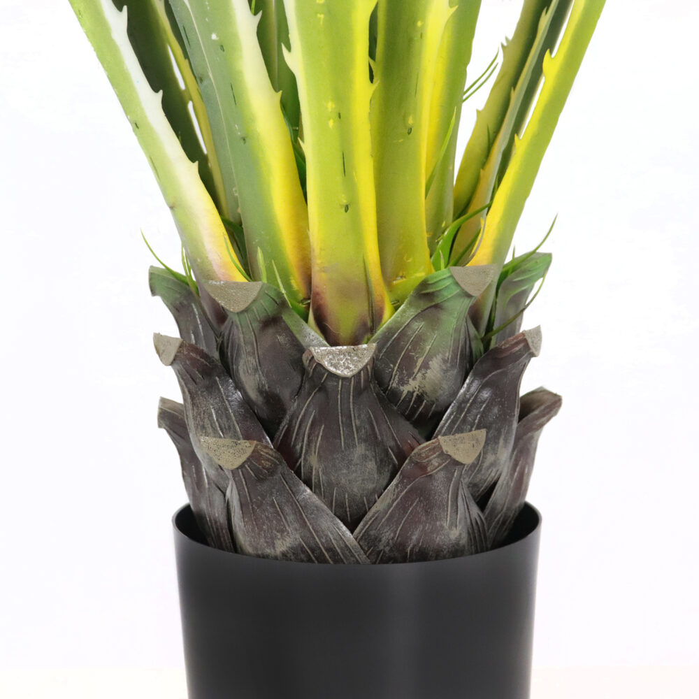 Unpotted Agave Plant, 36in - Image 3