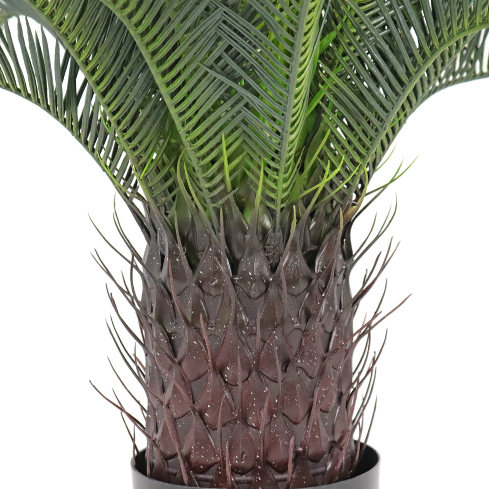 Unpotted Cycas Plant, 29in - Image 3