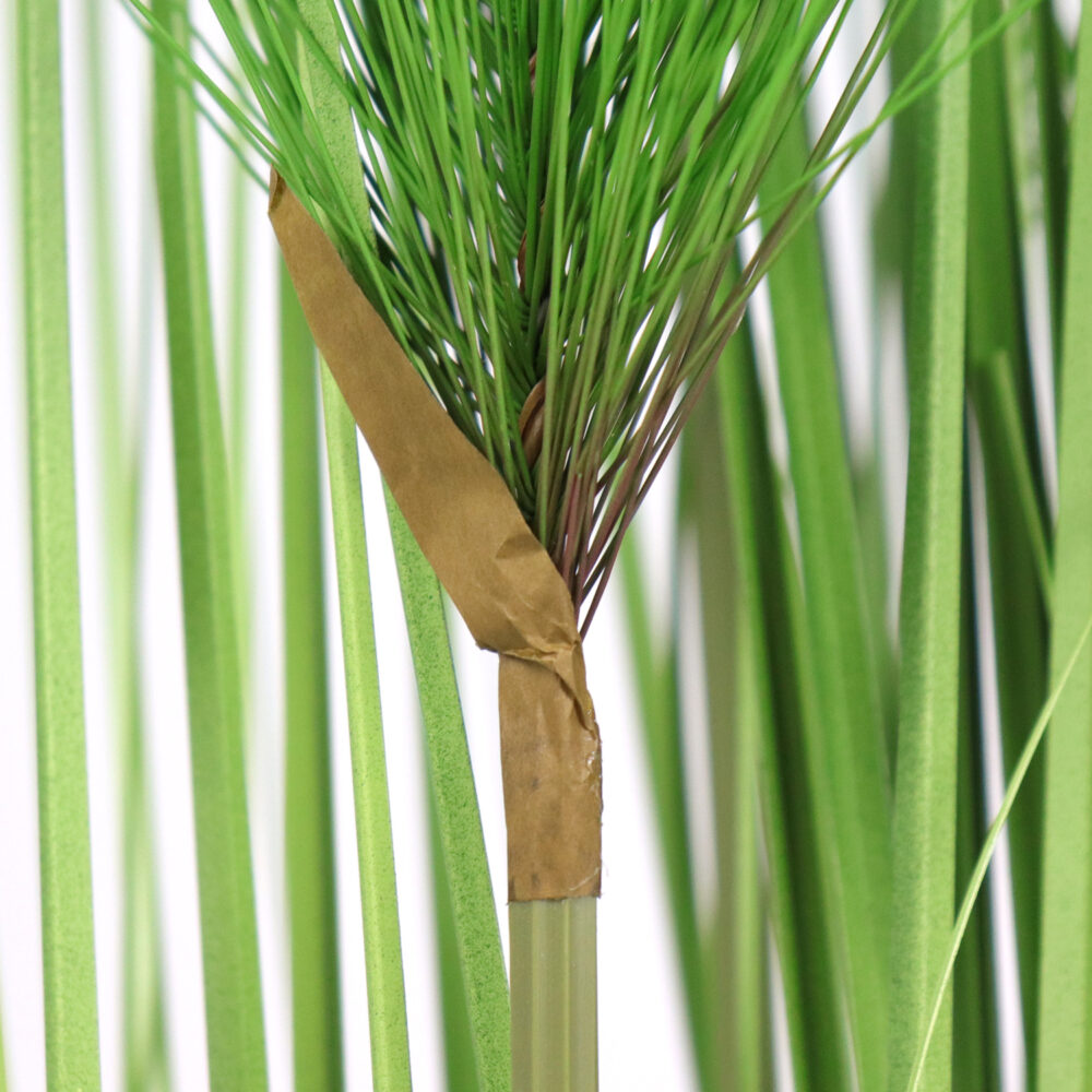 Unpotted Papyrus (Grass and Pine Needles), 4ft - Image 2