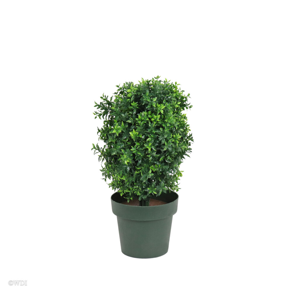 Opal Basil Shrub, Green Two-Tone, 24in (UV) - Image 2