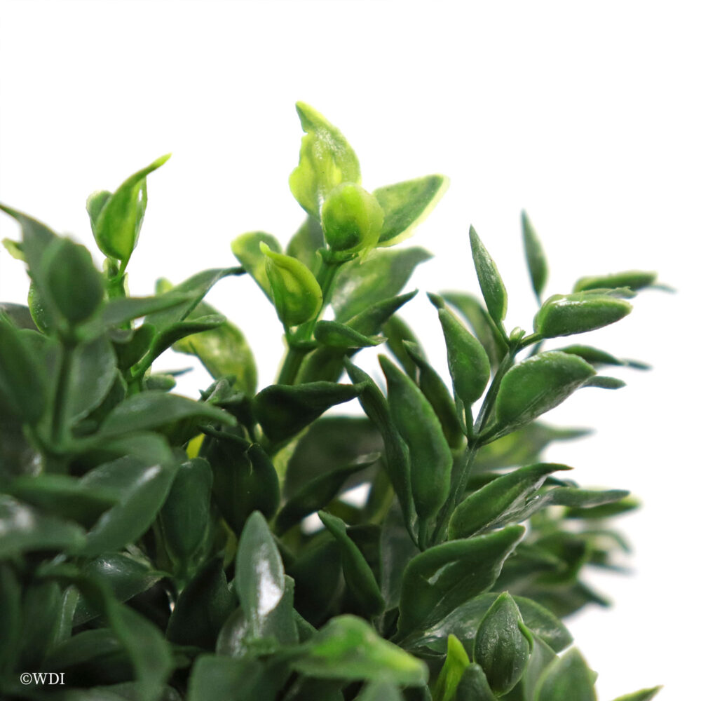 Opal Basil Shrub, Green Two-Tone, 24in (UV) - Image 4